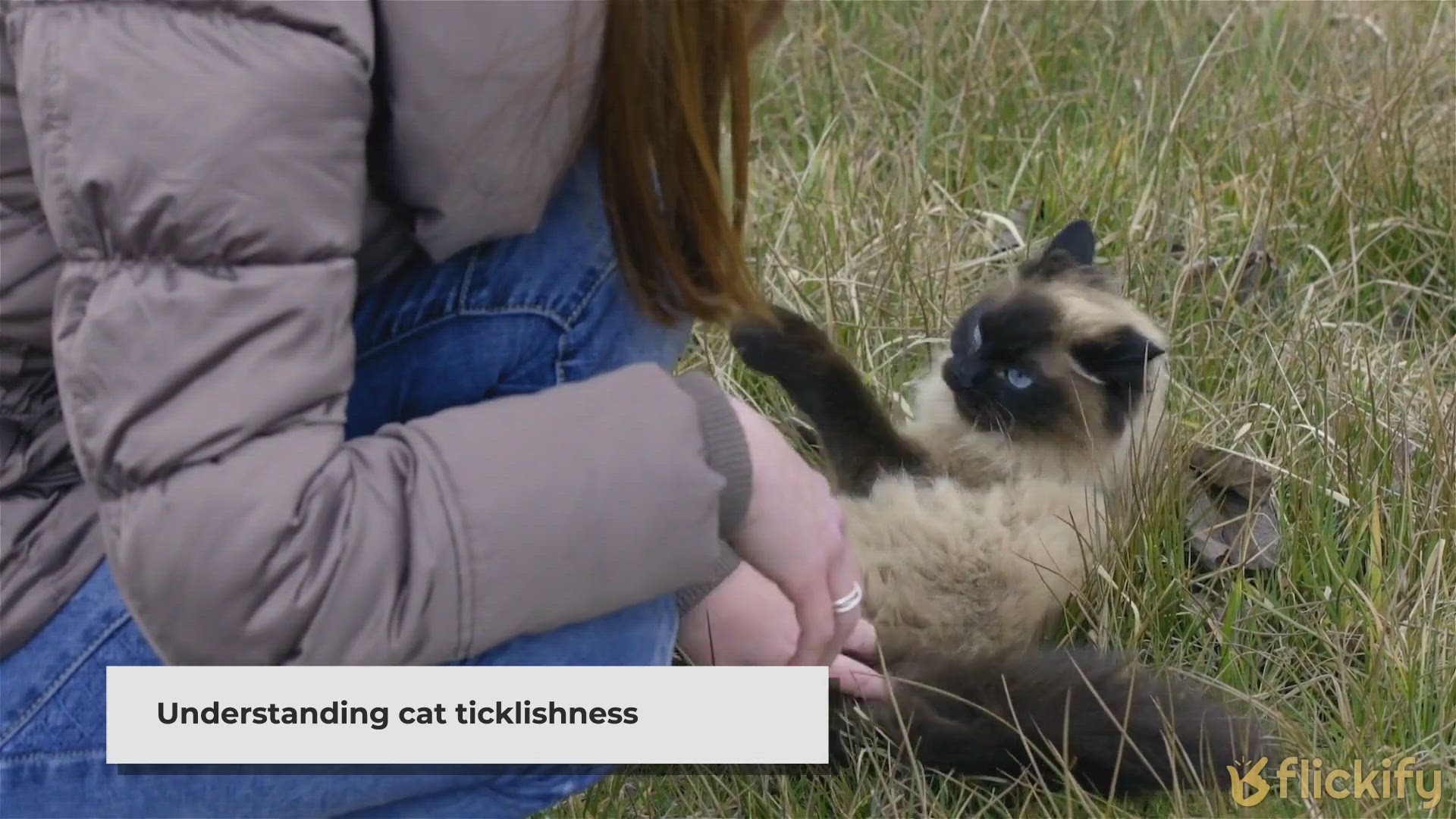 'Video playlist thumbnail'