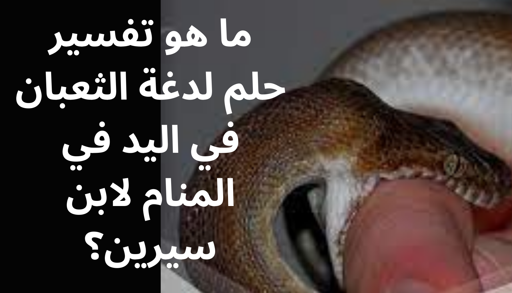 'Video thumbnail for ما هو تفسير حلم لدغة الثعبان في اليد في المنام لابن سيرين؟'