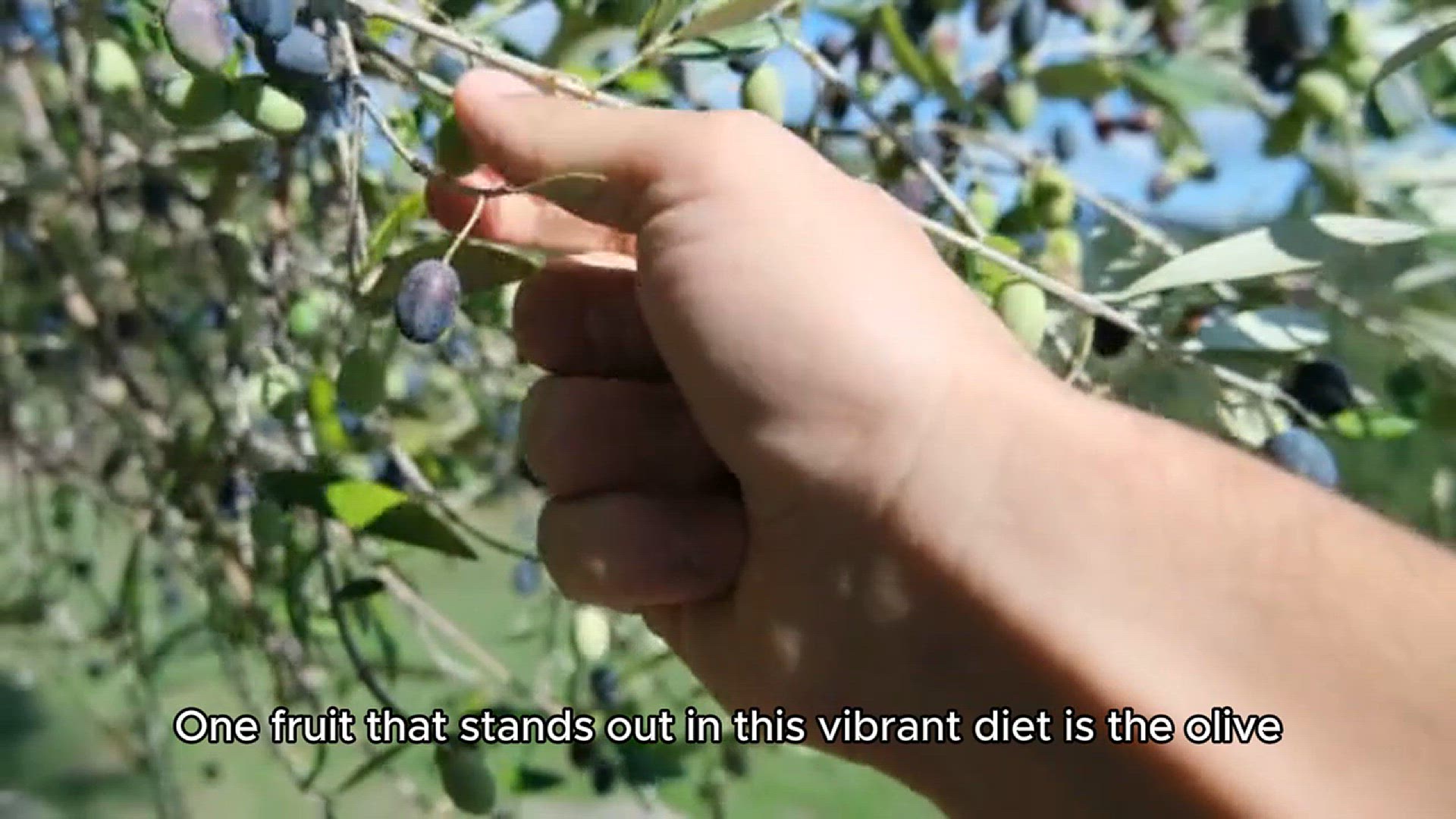 Video thumbnail for commonly used fruit in mediterranean cuisine