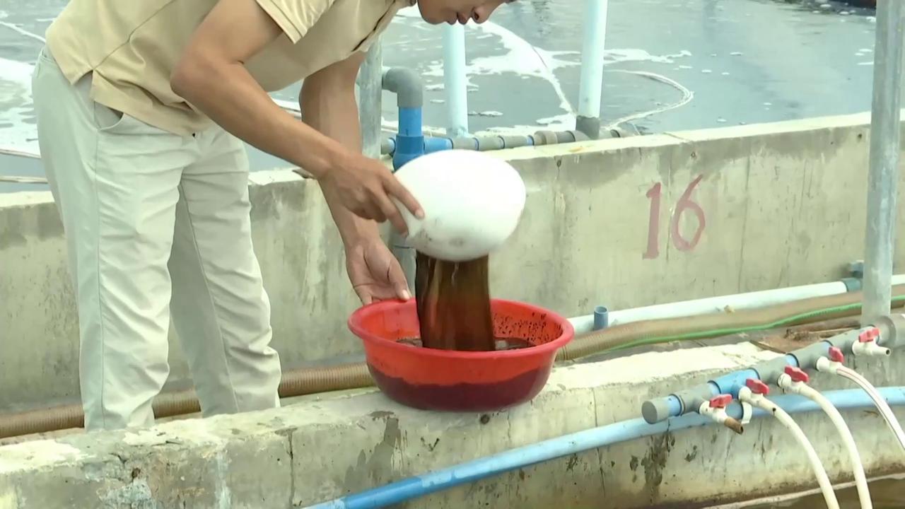 Video thumbnail for China: New tech turns desert saltwater into seafood oasis in China's Xinjiang.