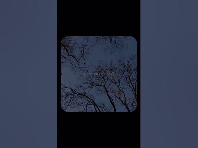 'Video thumbnail for hello world 16'