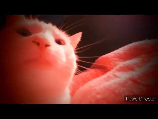 Video thumbnail for La danse macabre