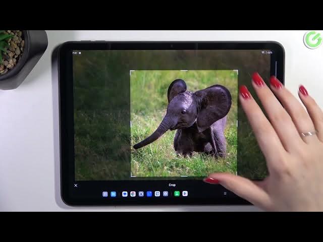 Video thumbnail for How to Add Photo to Contact on OPPO Pad Neo