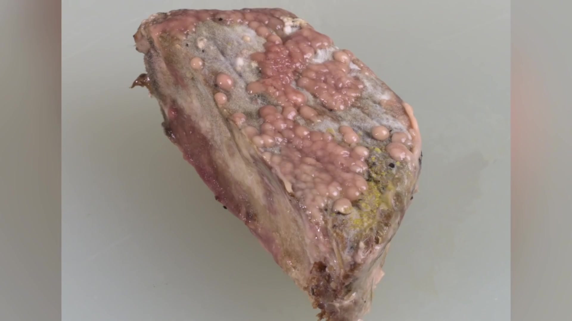 Video thumbnail for Ground Beef Myths Everyone Actually Believes