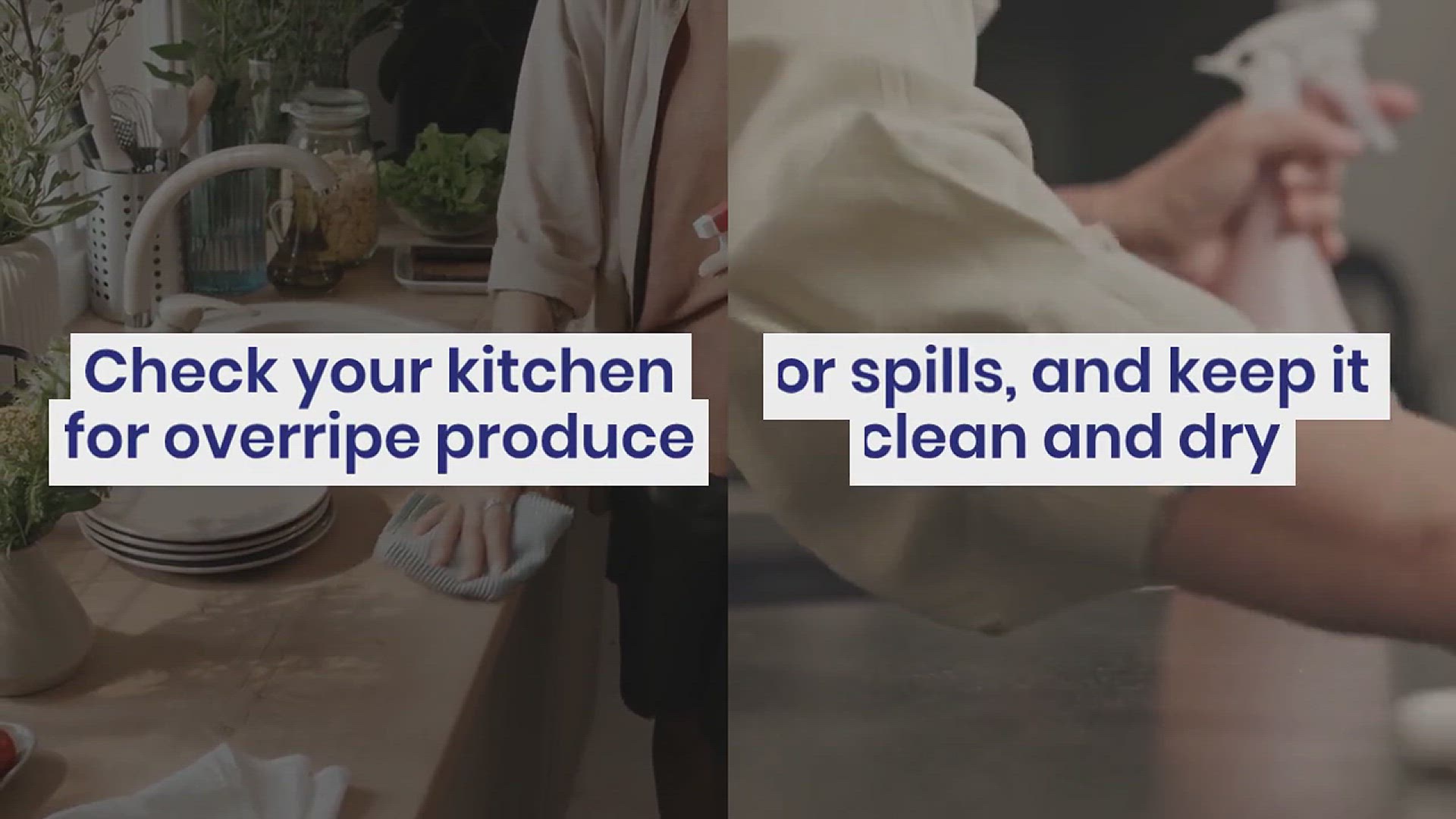 'Video thumbnail for Easy Ways to Get Rid of Nats in the House'