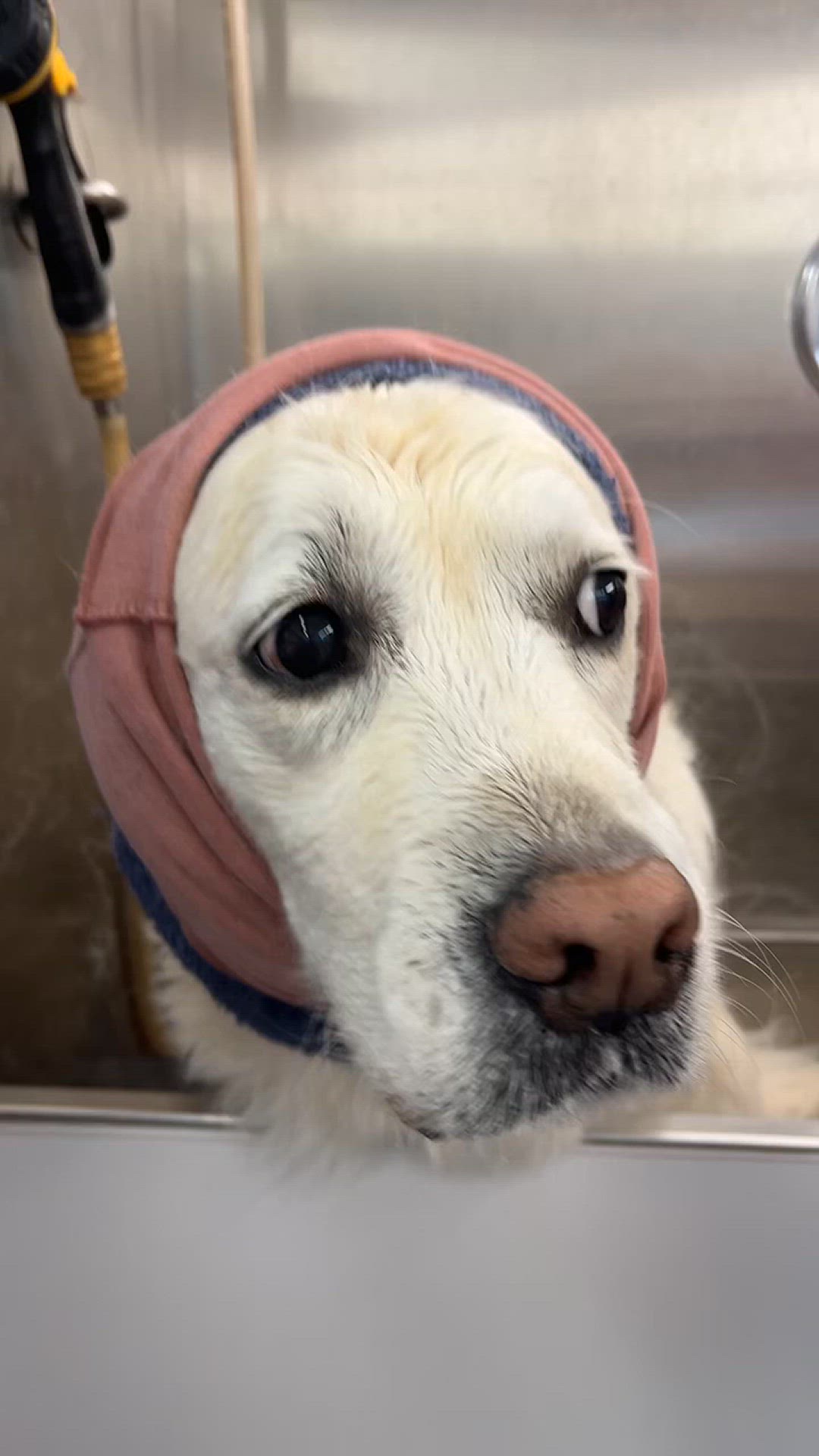 Video thumbnail for filtered-8EE4E637-6BAC-4180-8D1C-CBA0002C6D0E