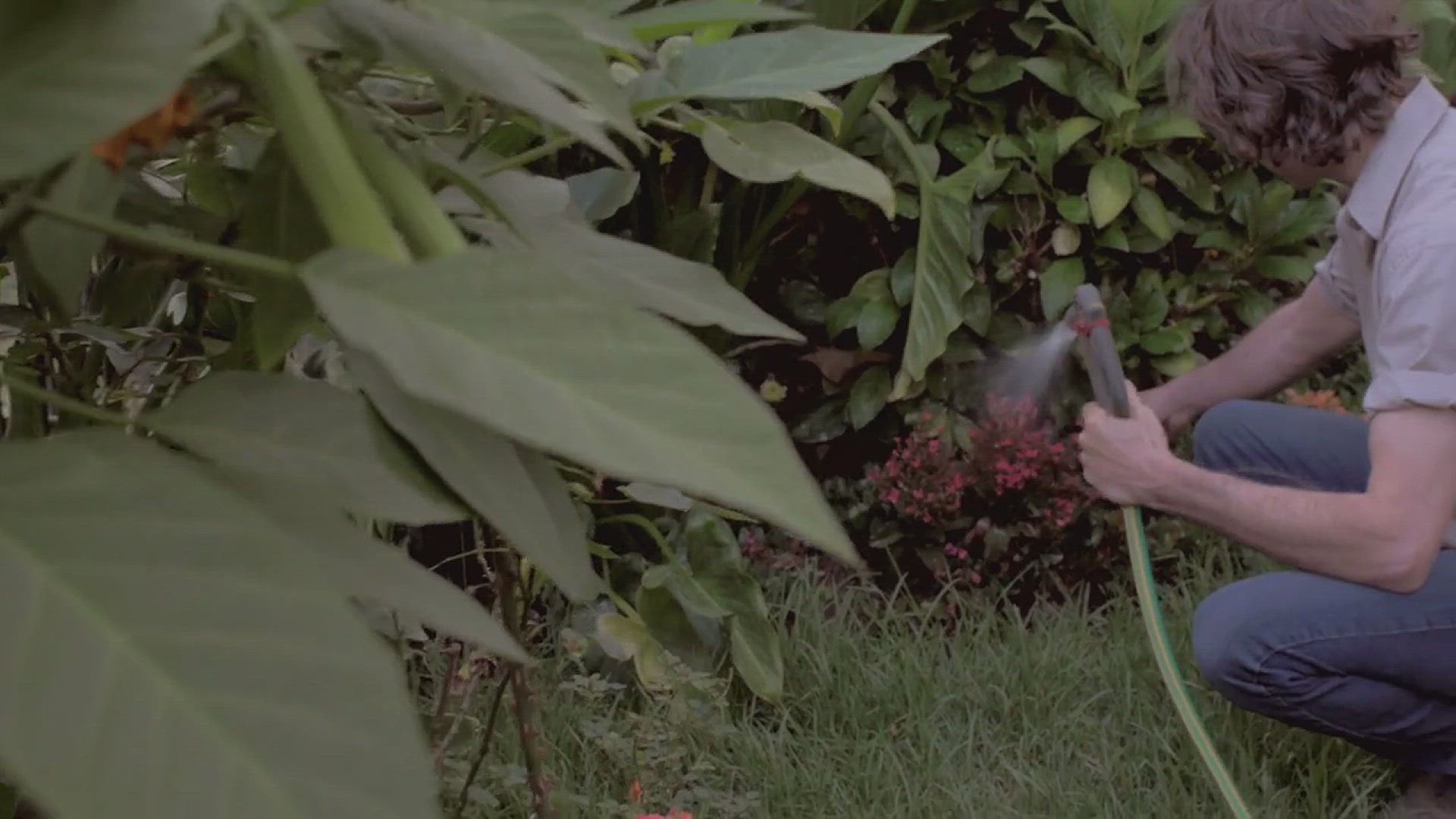 'Video thumbnail for How to Kill Grass Without Chemicals'