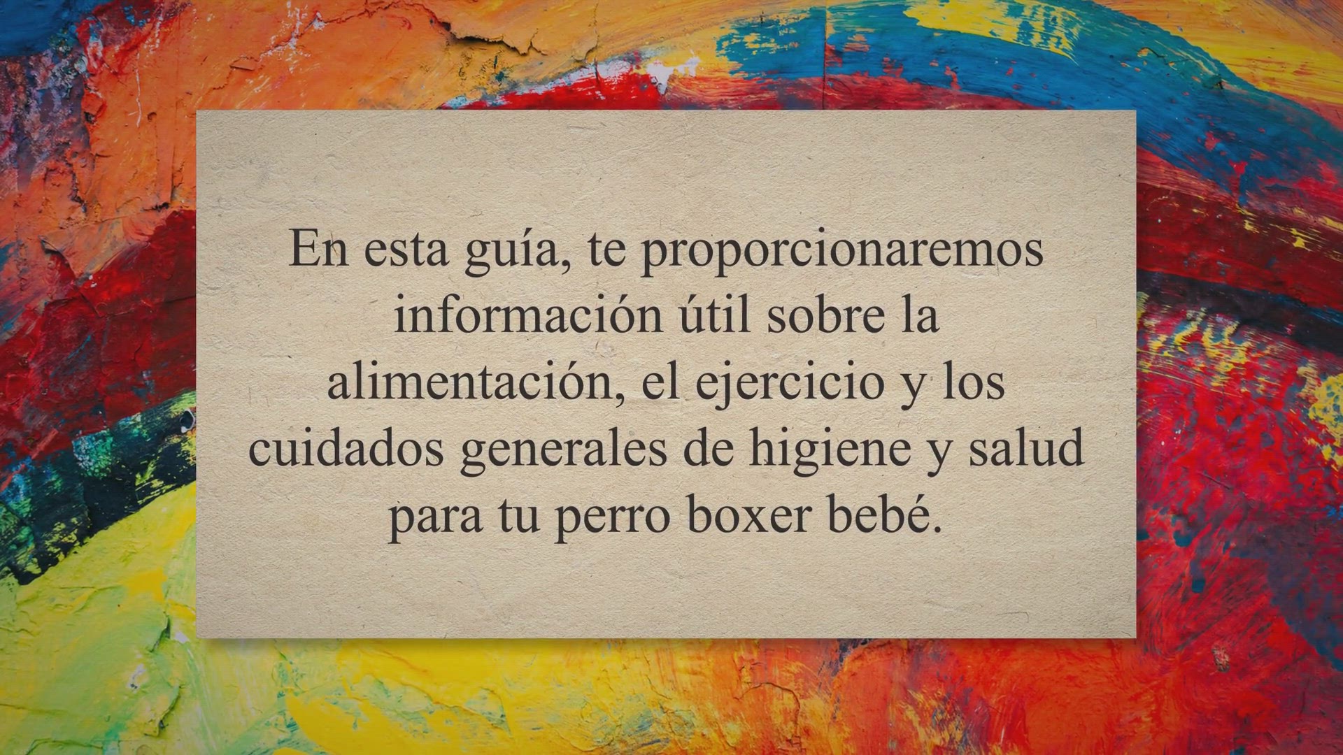 Video thumbnail for Cómo cuidar a un perro boxer bebé: alimentación, ejercicio y salud