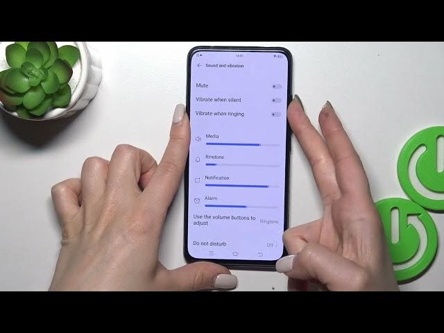 Video thumbnail for Adjust Ringtone Volume - VIVO V15 Pro and Sound Settings