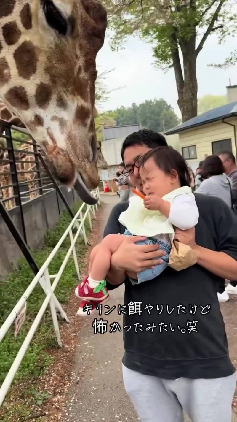 Video thumbnail for Toddler Feeding a Giant Giraffe for the First Time