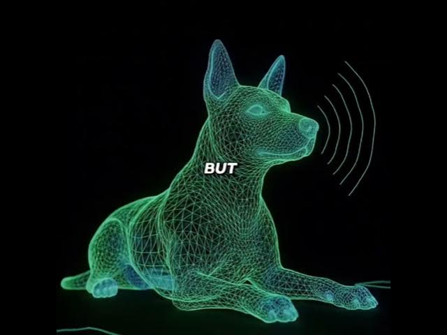 Video thumbnail for Ever noticed your dog quietly walking into your room at night just to look at you?