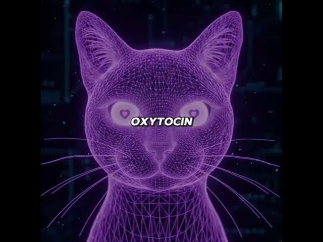 Video thumbnail for Have you ever wondered why your cat always chooses you even when there are others around?