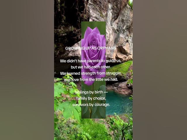 Video thumbnail for 01 December 2025