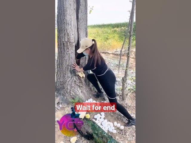 Video thumbnail for Beautiful #shorts #trending