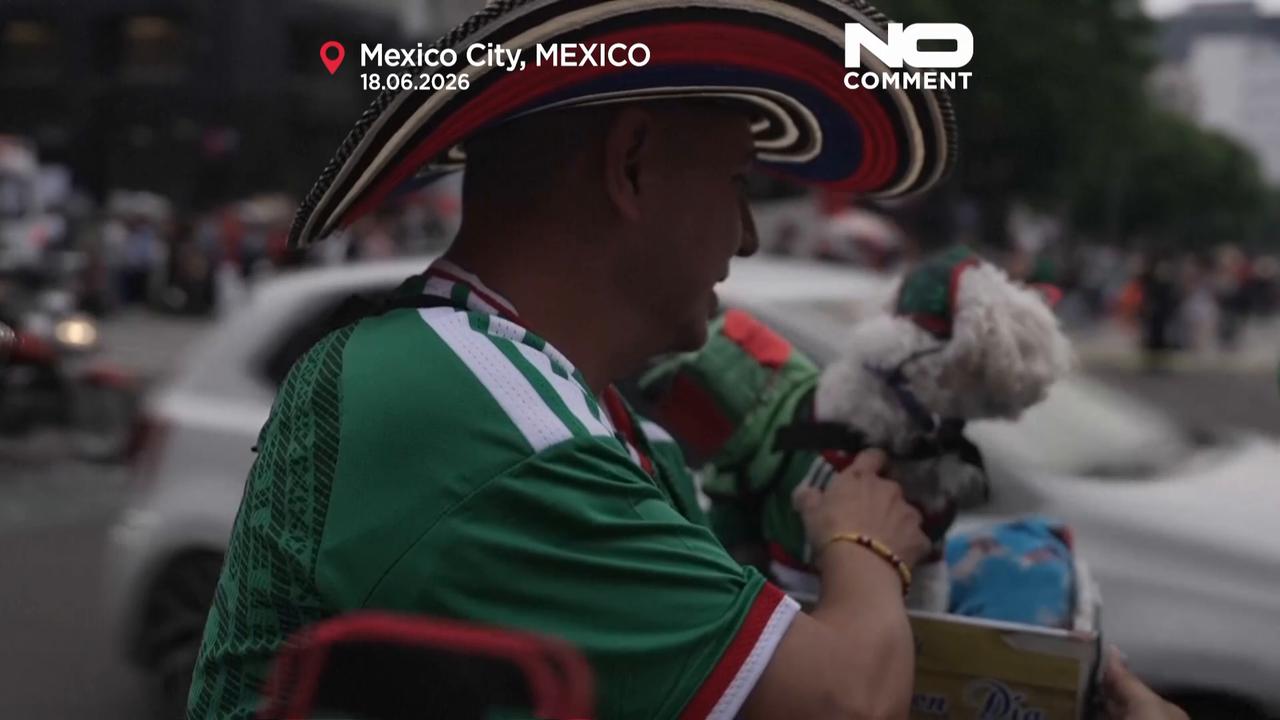 Video thumbnail for Meet Osito, the rescue dog winning hearts at the World Cup