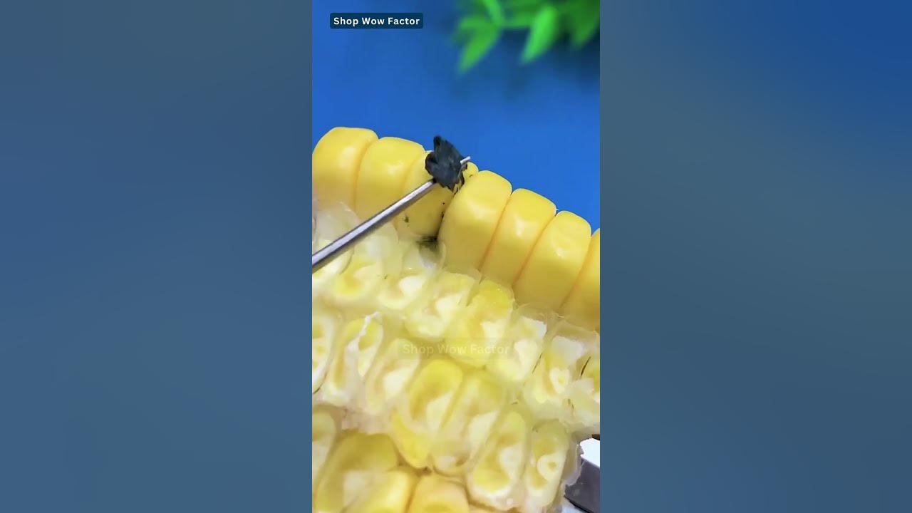 Video thumbnail for On-The-Go Convenience: Multifunctional Folding Keychain | Link is in Description  #shopping #shorts