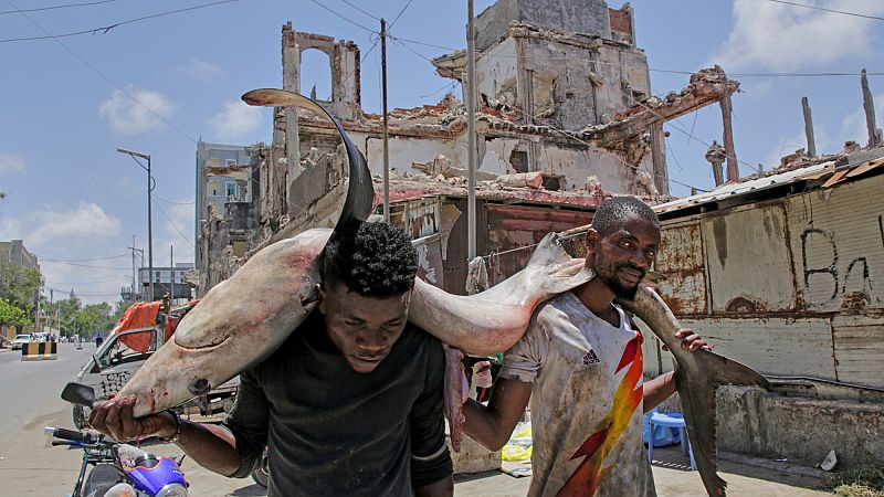 Video thumbnail for Somalia launches Centennial Vision 2060 roadmap for 'peace, prospertity and progress'