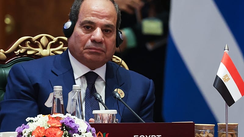 Video thumbnail for African leaders call for continent to unlock capital at Egypt business summit