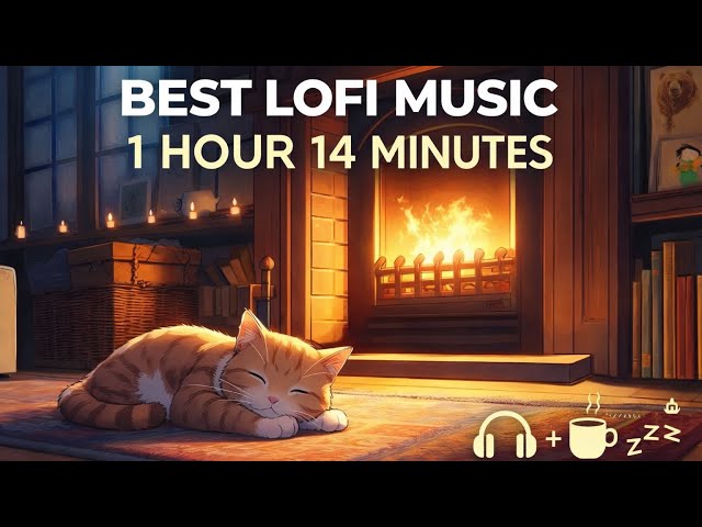 Video thumbnail for 1 Hour Non-Stop Music | Late Night & Study Vibes and peace Lofi Life