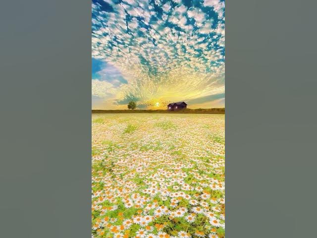 Video thumbnail for nature love#youtubeshorts