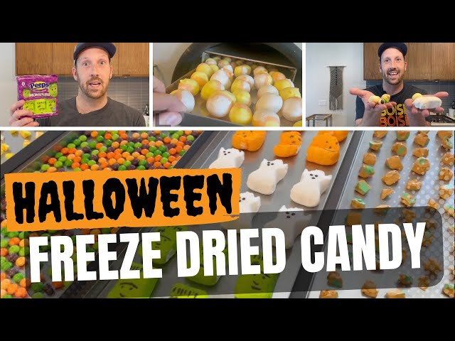 Video thumbnail for Freeze-Dried Candy for Halloween | Freeze-Dried Peeps, Skittles, Candy Corn & Caramel Apple Taffy