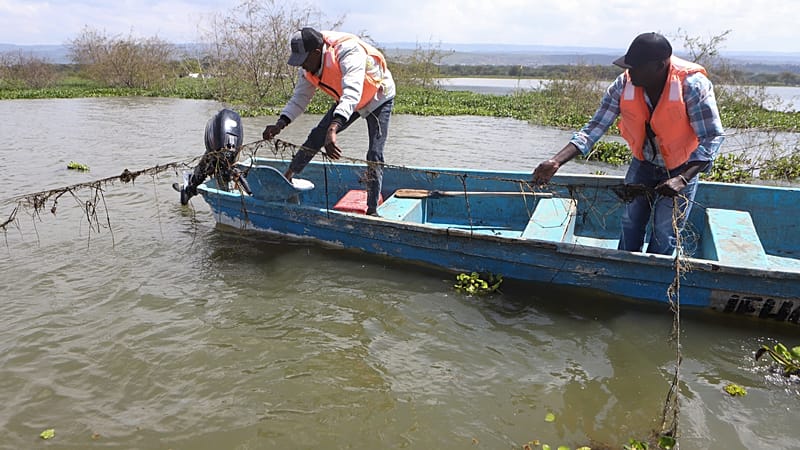 Video thumbnail for Rising lake waters cause misery for people forced to live in flooded homes in Kenya