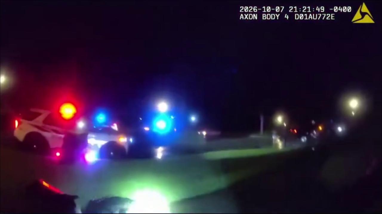 Video thumbnail for US: Police Wrestle Aggressive 5-Foot Alligator Off Busy Florida Road And Return It To Water.