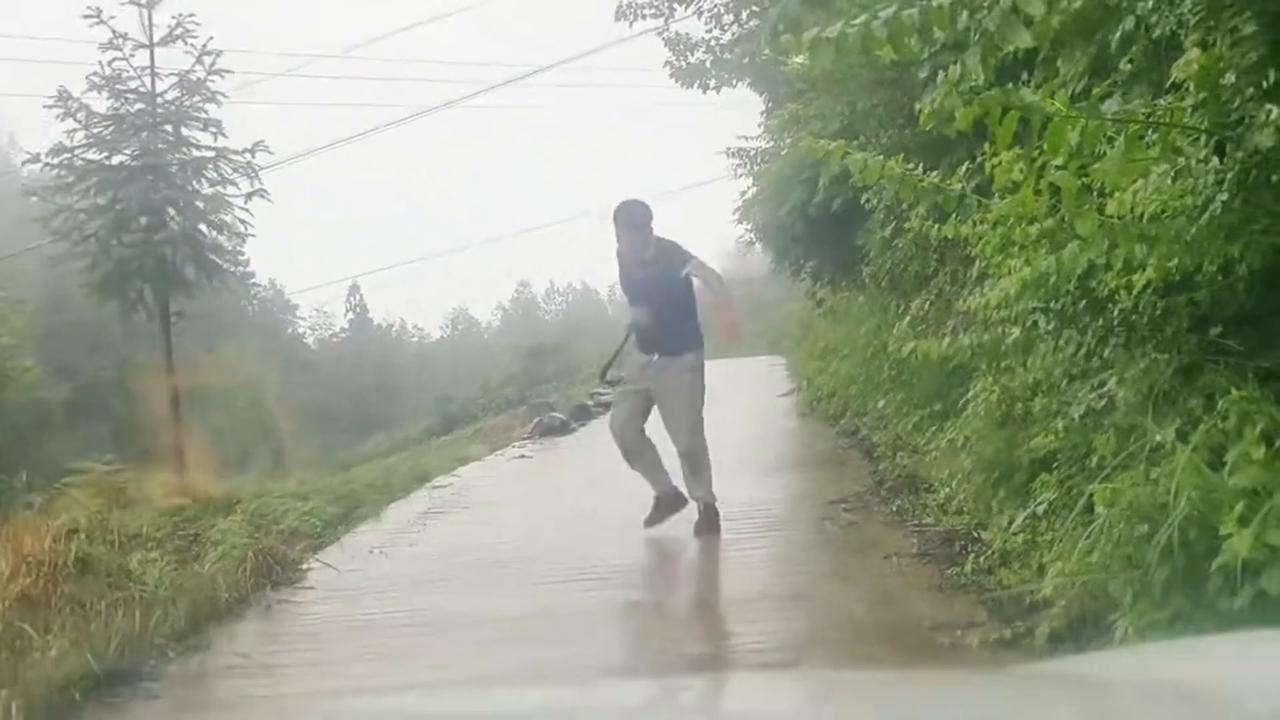 Video thumbnail for China: Chinese driver catches snake with bare hands after spotting it on road.