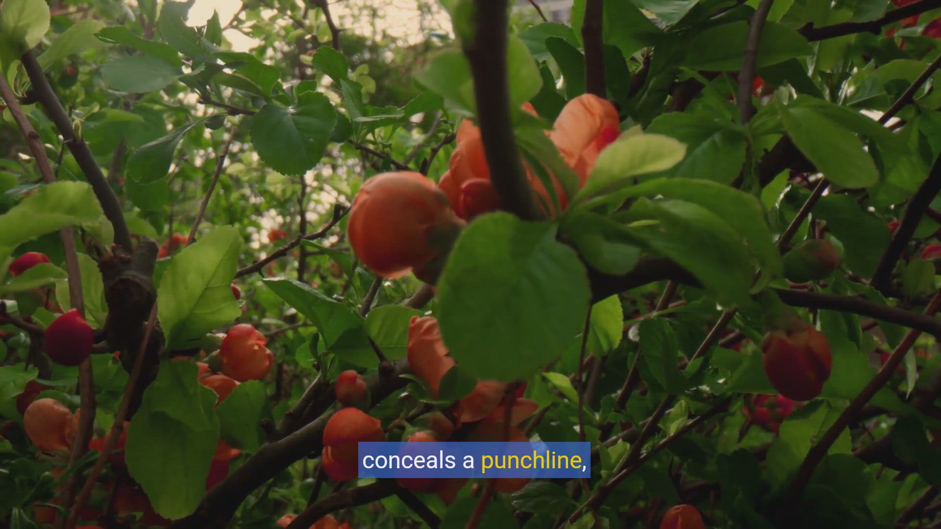 'Video thumbnail for Plant puns: Entertaining wordplay inspired by botany'