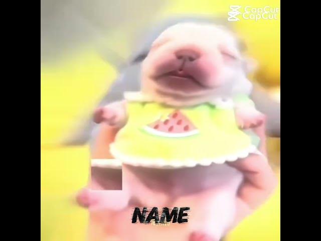 Video thumbnail for December 4, 2025