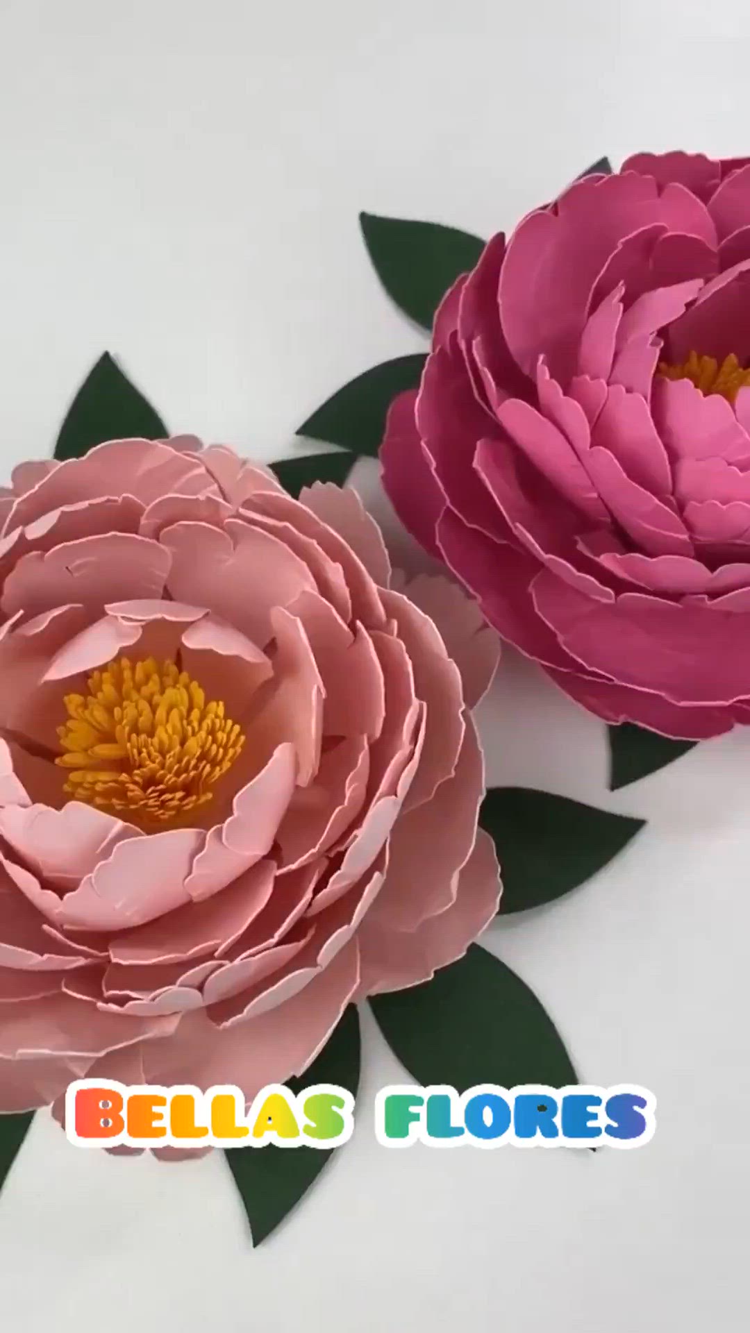 Video thumbnail for InShot_20220115_194714936