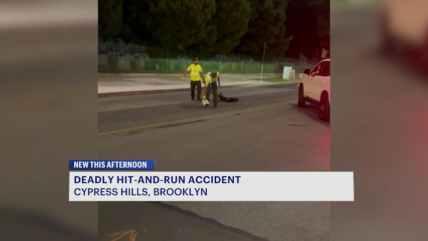 Video thumbnail for Woman killed in hit-and-run in Cypress Hills