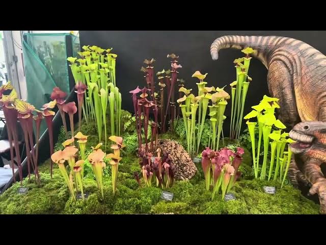 Video thumbnail for BBC Gardeners world 2024 #bbcgardenersworld #gardening #flowers