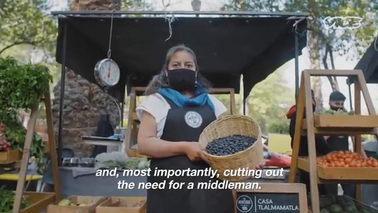 Video thumbnail for Saving Mexico’s Native Beans from Extinction