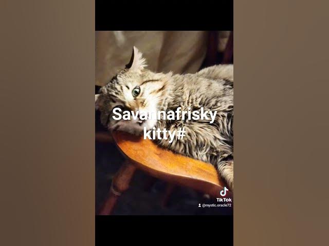 Video thumbnail for April 22, 2024