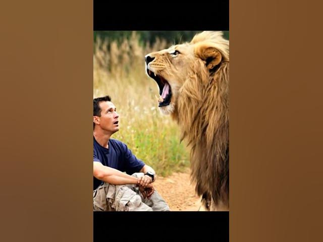 Video thumbnail for #wild #lion