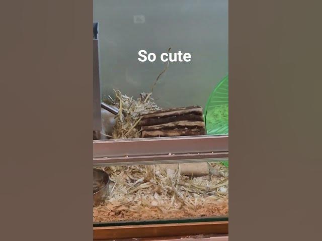 Video thumbnail for 27 November 2025