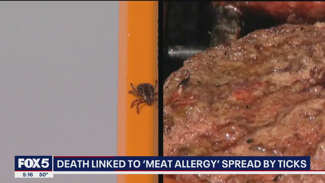 Video thumbnail for New Jersey man dies from rare meat allergy linked to tick bite