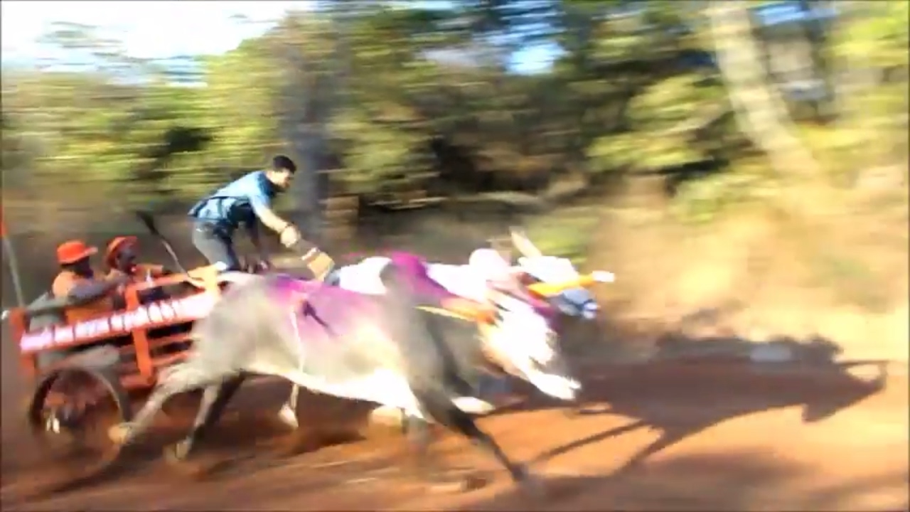 'Video thumbnail for Bullock cart race in India./Bullock cart sports.'