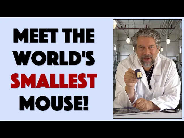 Video thumbnail for Kakkoo Micro Bluetooth Mouse -- (KICKSTARTER) PREVIEW