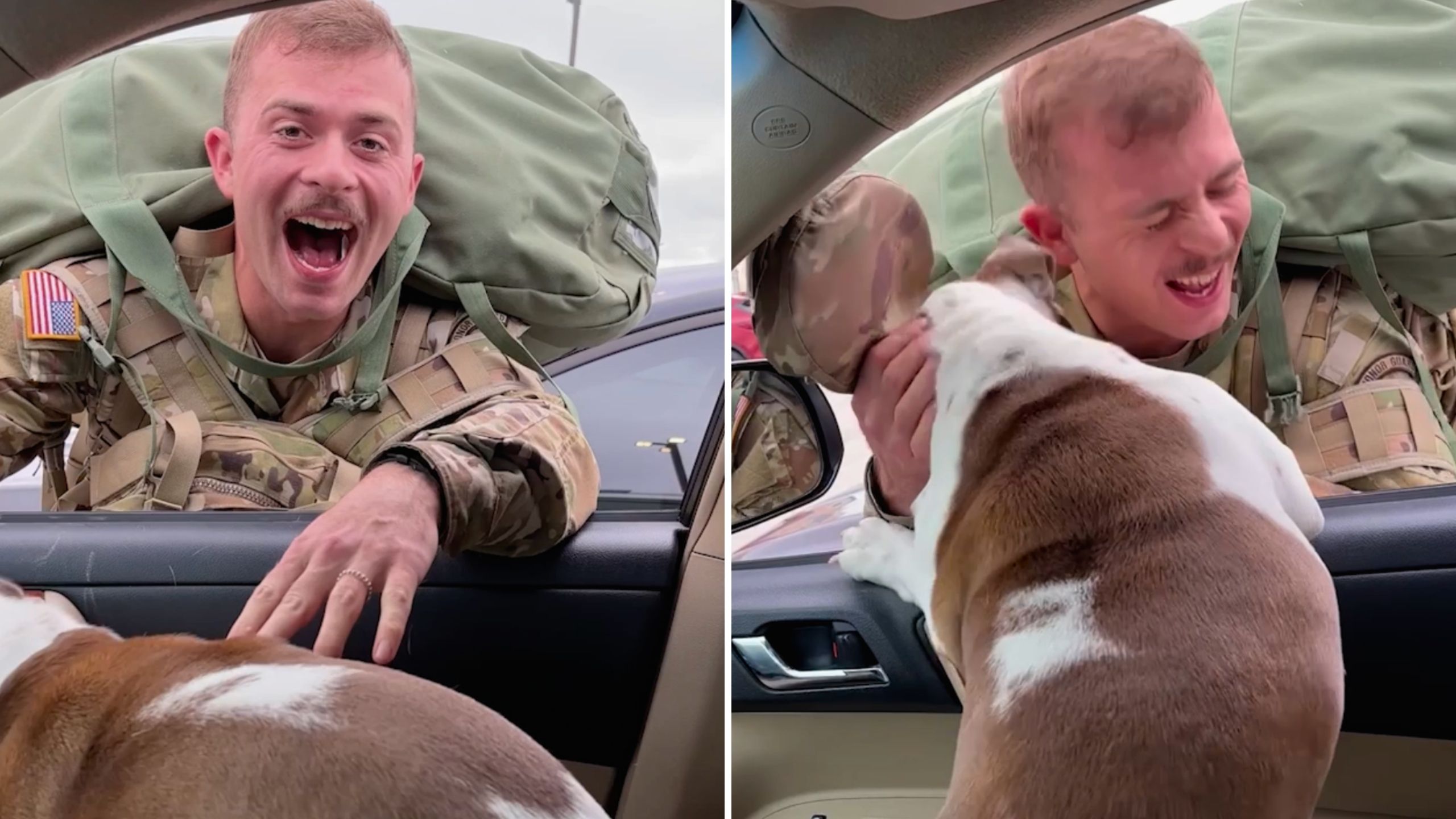 Video thumbnail for Soldier And Dog Can't Contain Excitement When They're Reunited