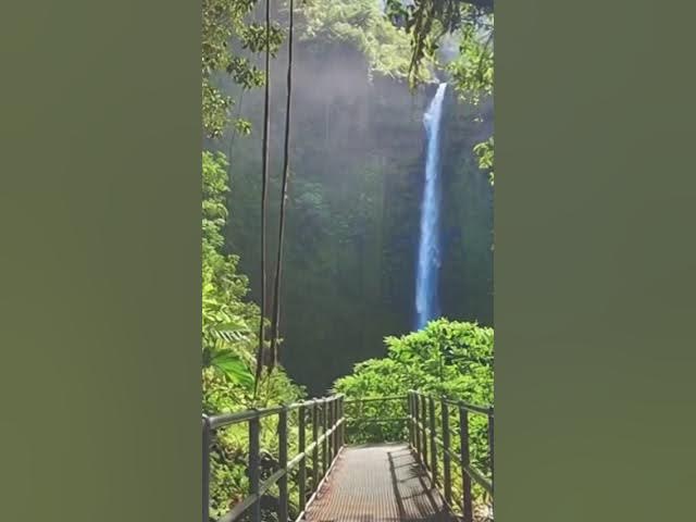 Video thumbnail for The Waterfall
