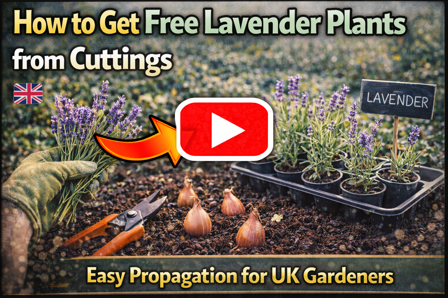Video thumbnail for How to Get Free Lavender Plants from Cuttings | Easy Propagation for UK Gardeners