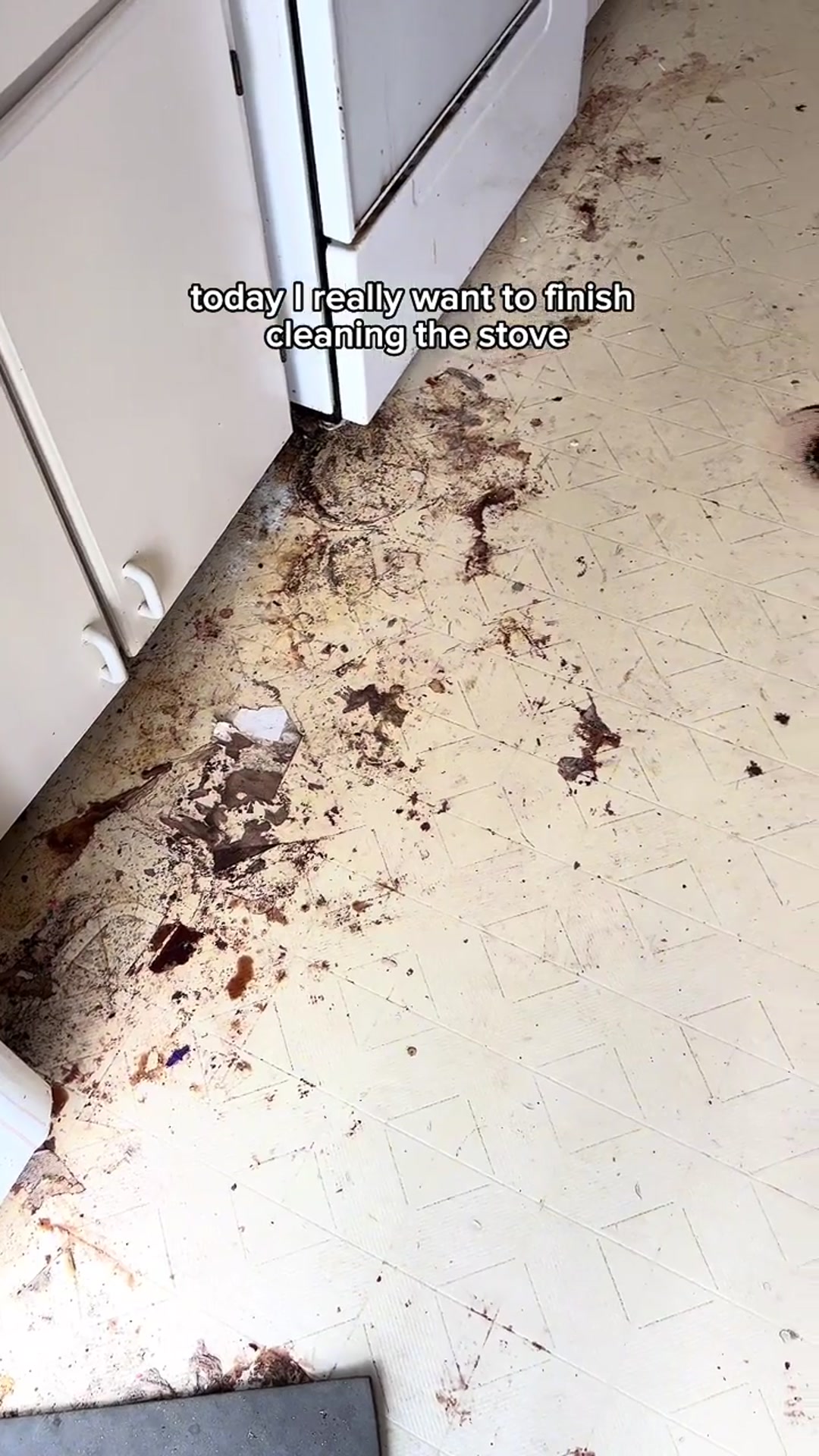 Video thumbnail for Today_s cleaning _ the rotten food that was years expired broke my heart a little more than usual💔(720P_60FPS)