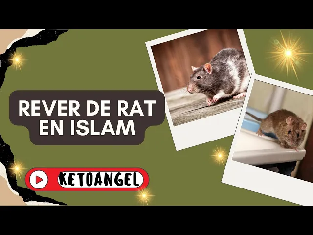 'Video thumbnail for Rêver de rat signification interprétation en islam'