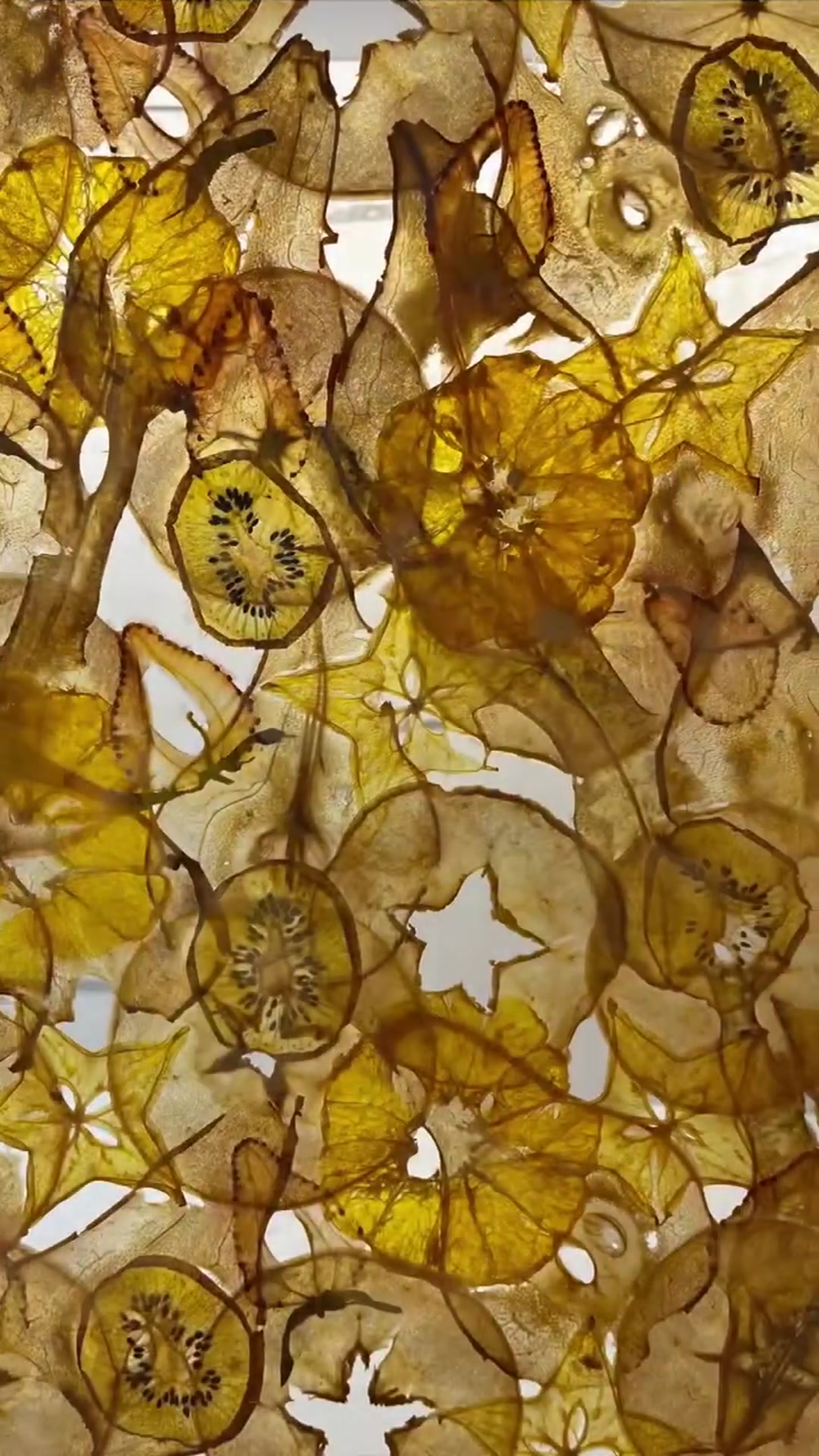 Video thumbnail for Dehydrated _Stained Glass_ Fruit Sheet _shorts(720P_HD)