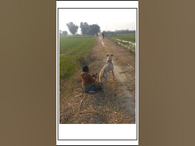 Video thumbnail for #trending #funny #viralvideo#वायरल #ट्रेंडिंग #रील्स 🇬🇧🏍️ IP प्राप्त करें! 2024 समाप्त हो चुका है