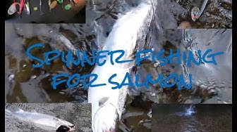Video thumbnail for HOW-TO fish SPINNERS for Salmon - ULTIMATE Guide