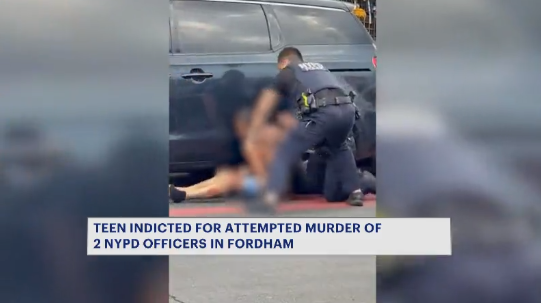 Video thumbnail for Castle Hill teen indicted for attempted murder of 2 NYPD officers