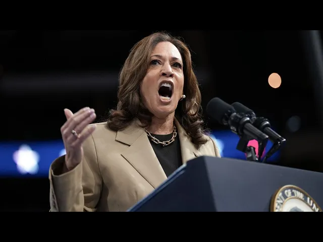 Video thumbnail for Kamala Harris New Campaign Strategy Unleashed - Insulting Black Men